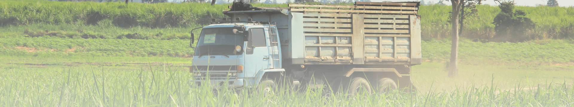 ติดต่อเรา