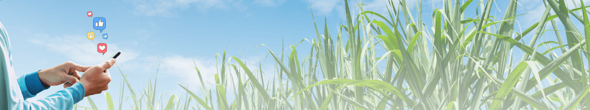 ดาวน์โหลดแอปฟาร์มรักษ์