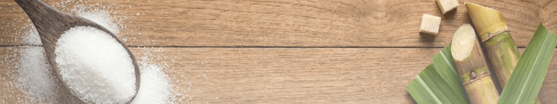 ข่าวสารทั้งหมด