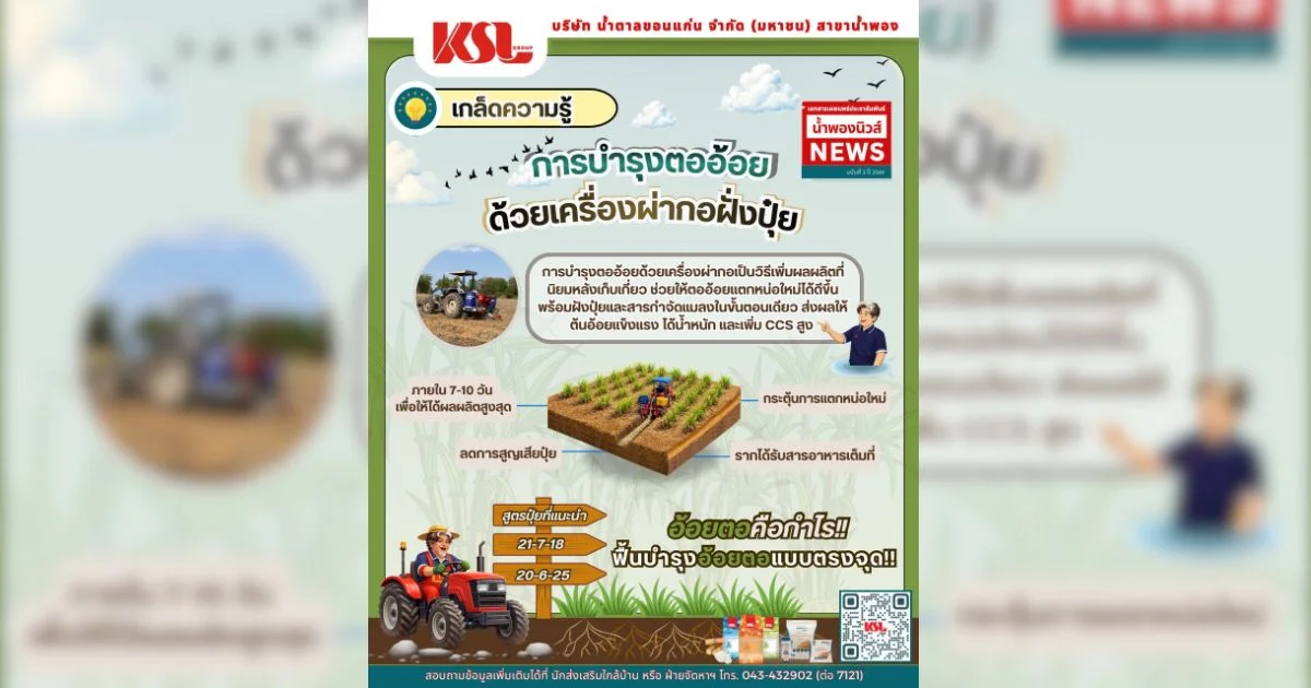 เกร็ดความรู้ชาวไร่อ้อย